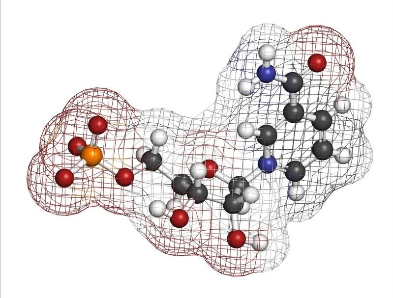 烟酰胺单核苷酸 (NMN) 的分子结构