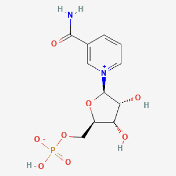 不同来源都有相同的NMN分子结构式